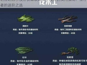 明日之后小枝芽获取攻略及小枝芽的实用指南：生存者的进阶之选