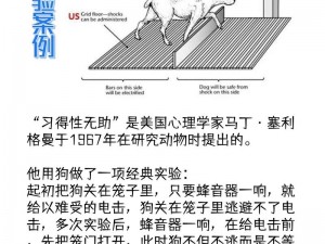 鸡腿杖之力与韧性：一份对它独特属性的探讨