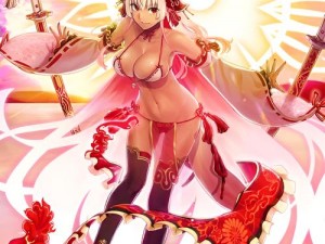 命运冠位指定FGO 2017泳装二期周回副本掉落及配置详解：高效攻略指南助你轻松获取心仪奖励