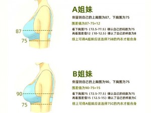 亚洲无人区码二码三码区别，全面解析不同码数的特点