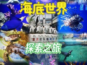 海底世界探索之旅：水族馆电脑版下载与安装指南