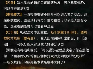 《黑书游戏深度解析：优缺点全解析》