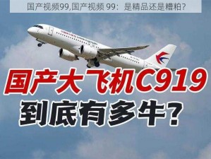 国产视频99,国产视频 99：是精品还是糟粕？