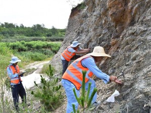 大地中文资源第9页【如何在大地中文资源第 9 页中获取所需信息？】