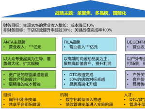 布局策略：定制化一对一优势，深度探讨布局战略实现优势共赢