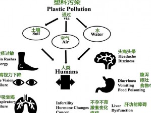 珊瑚岛木炭获取之道：探索天然资源与可持续利用的平衡之道