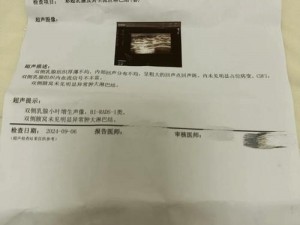 佳柔和医院长第7章全文内容-佳柔和医院长第 7 章：院长的秘密计划