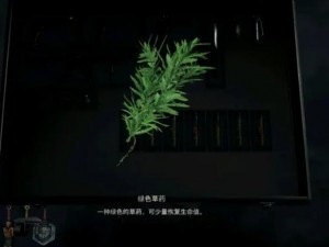 生化危机4重制版药草采集要点：注意事项详解与攻略指南