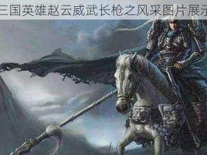 三国英雄赵云威武长枪之风采图片展示