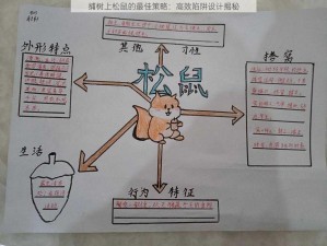 捕树上松鼠的最佳策略：高效陷阱设计揭秘