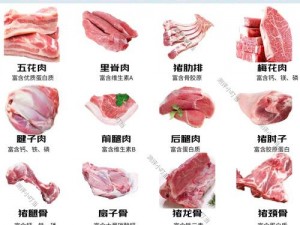 17厘米属于大肉还是小肉(17 厘米的肉是大还是小？)