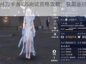 探寻天涯明月刀手游IOS测试资格攻略：获取途径全解析，附招募链接