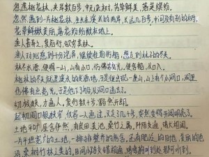 《桃源深处新篇章：720更新后的桃源13版本内容详解》