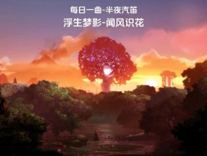 《浮生梦影：马可萝妮幻梦核使用全攻略》