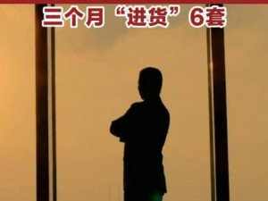 房产销售的秘密5的背景故事【房产销售的秘密 5：神秘买家的背后故事】