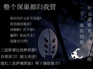 空洞骑士腐臭蛋的全面解析：功能与效用深度探讨