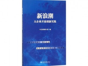 《网三引领新时代：互联时代的浪潮中心》