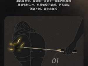 专业 BDSM 调教惩罚玩具，让你享受极致快感