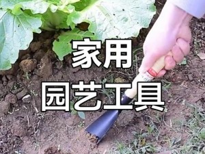 如何巧妙地抠到小花园流水——高品质园艺工具推荐