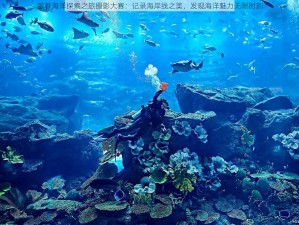 跟着海洋探索之旅摄影大赛：记录海岸线之美，发现海洋魅力无限时刻