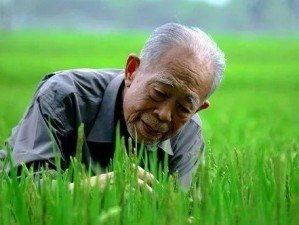 耕荒的爸爸;耕荒的爸爸：从荒原到良田，一位父亲的拓荒之路