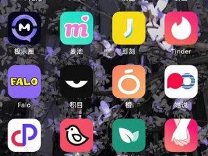 魅聊app下载_魅聊 app 下载，安全可靠的聊天交友软件