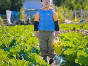 一小孩和妈妈在萝卜黄的海洋里开心地采摘