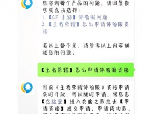 《王者荣耀观光团邀请码使用指南：详细步骤与注意事项》