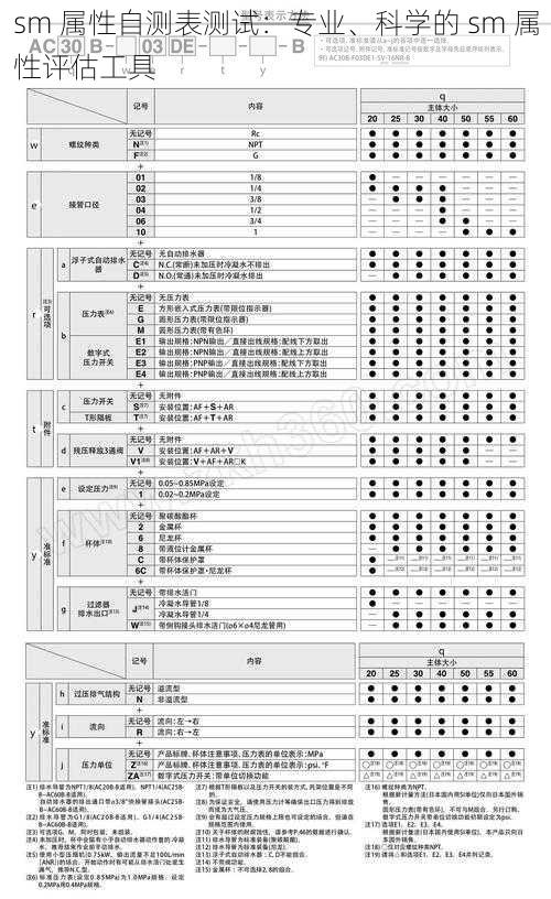 sm 属性自测表测试：专业、科学的 sm 属性评估工具