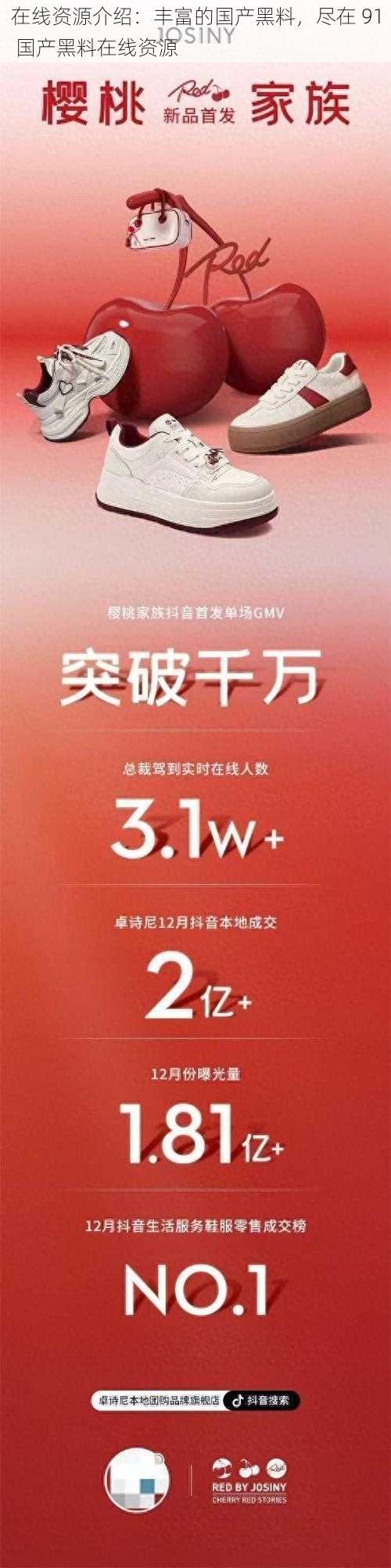 在线资源介绍：丰富的国产黑料，尽在 91 国产黑料在线资源