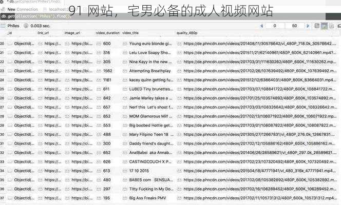 91 网站，宅男必备的成人视频网站