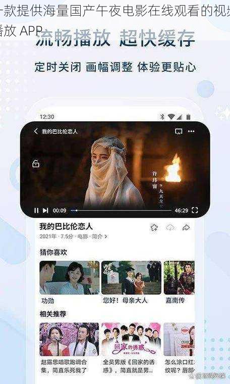 一款提供海量国产午夜电影在线观看的视频播放 APP