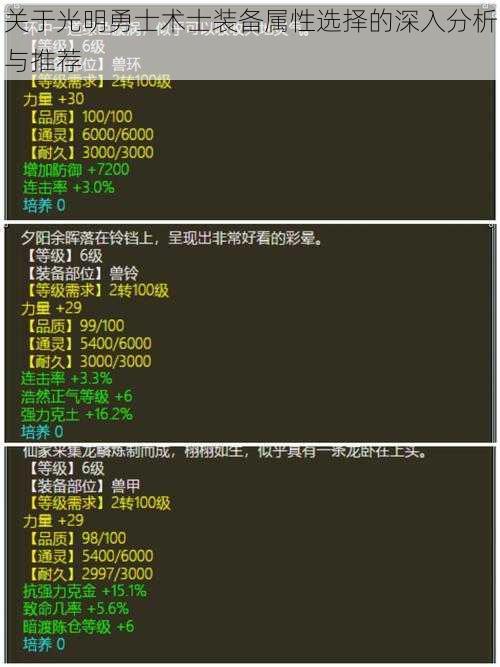 关于光明勇士术士装备属性选择的深入分析与推荐