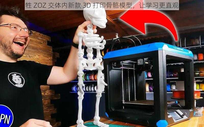 牲 ZOZ 交体内新款 3D 打印骨骼模型，让学习更直观