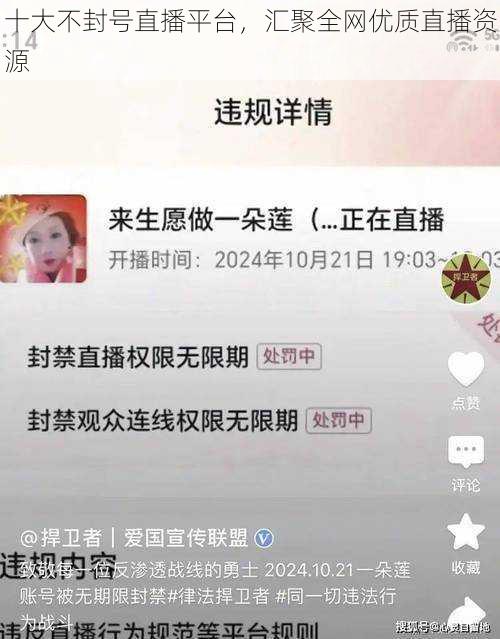 十大不封号直播平台，汇聚全网优质直播资源