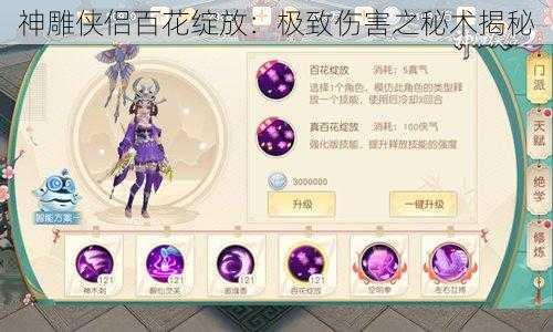 神雕侠侣百花绽放：极致伤害之秘术揭秘