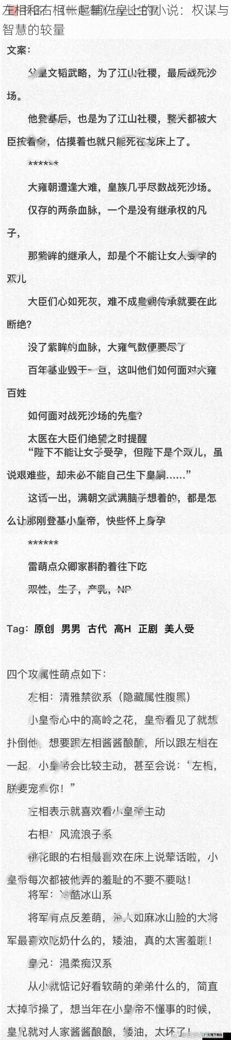 左相和右相一起辅佐皇上的小说：权谋与智慧的较量