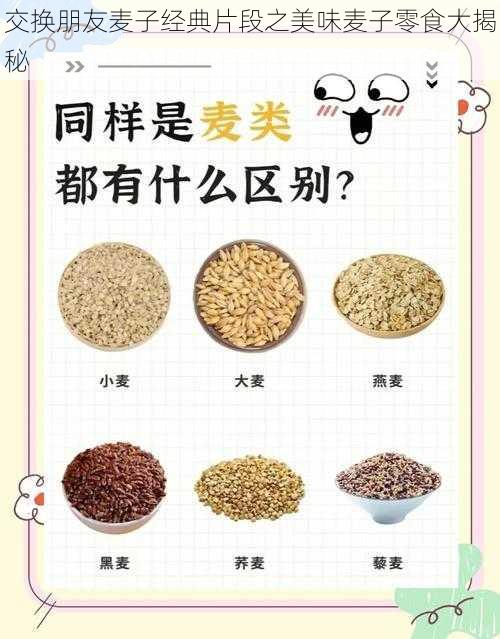 交换朋友麦子经典片段之美味麦子零食大揭秘