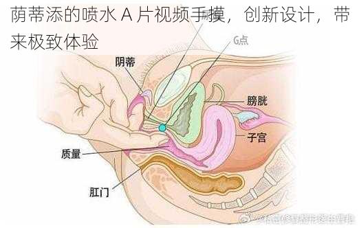 荫蒂添的喷水 A 片视频手摸，创新设计，带来极致体验