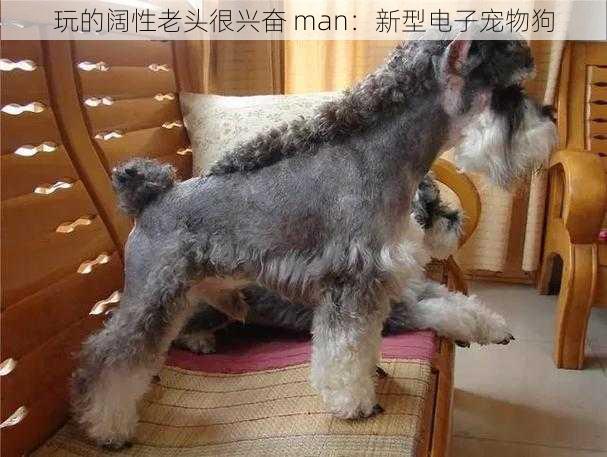 玩的阔性老头很兴奋 man：新型电子宠物狗