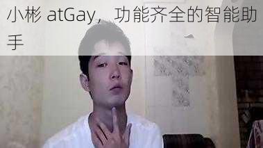 小彬 atGay，功能齐全的智能助手