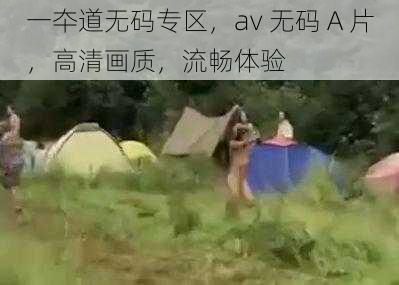 一夲道无码专区，av 无码 A 片，高清画质，流畅体验