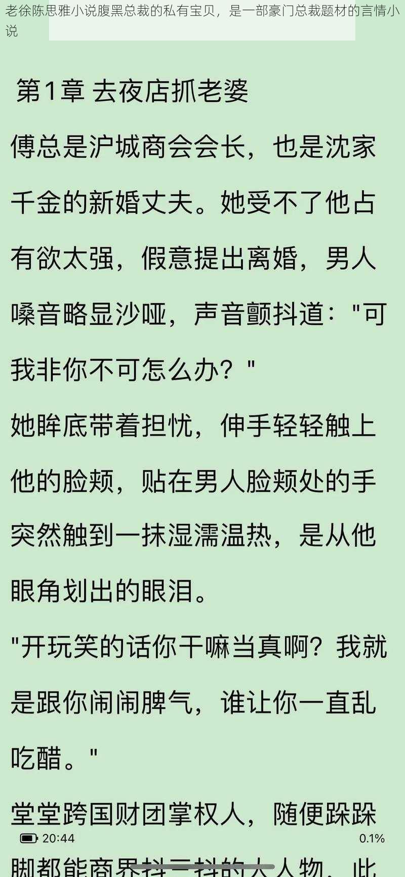 老徐陈思雅小说腹黑总裁的私有宝贝，是一部豪门总裁题材的言情小说