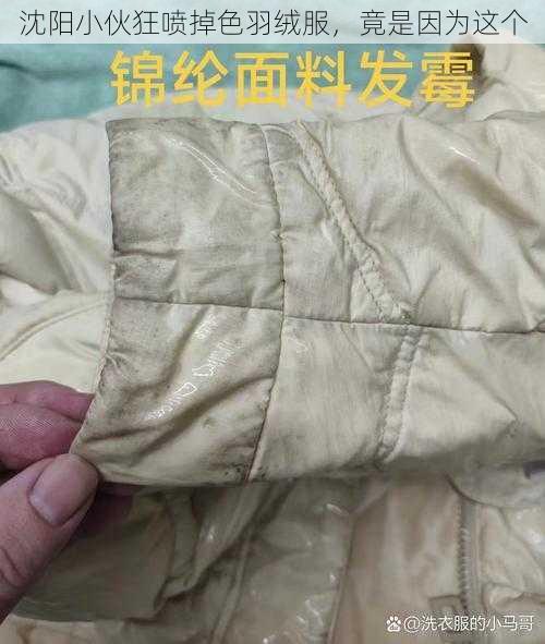 沈阳小伙狂喷掉色羽绒服，竟是因为这个