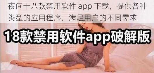 夜间十八款禁用软件 app 下载，提供各种类型的应用程序，满足用户的不同需求