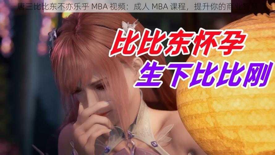 唐三比比东不亦乐乎 MBA 视频：成人 MBA 课程，提升你的商业智慧