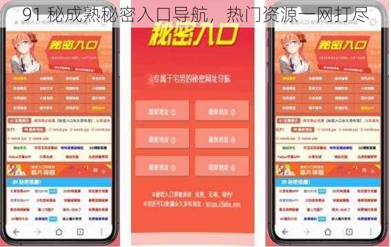 91 秘成熟秘密入口导航，热门资源一网打尽