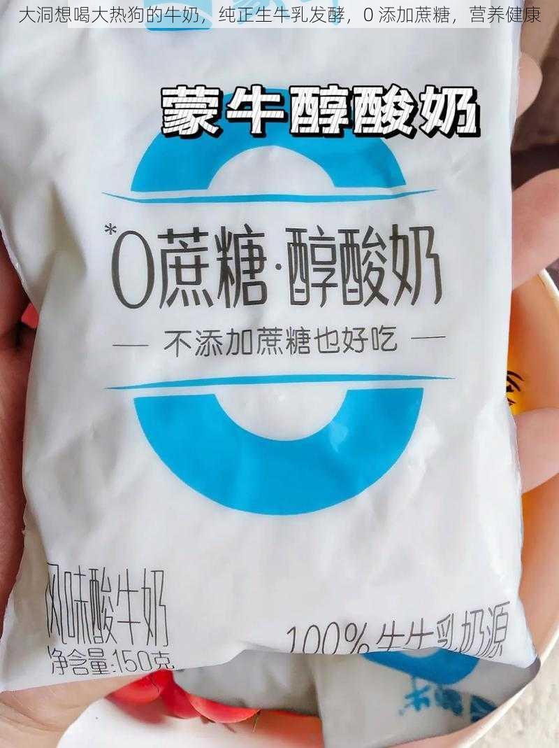 大洞想喝大热狗的牛奶，纯正生牛乳发酵，0 添加蔗糖，营养健康