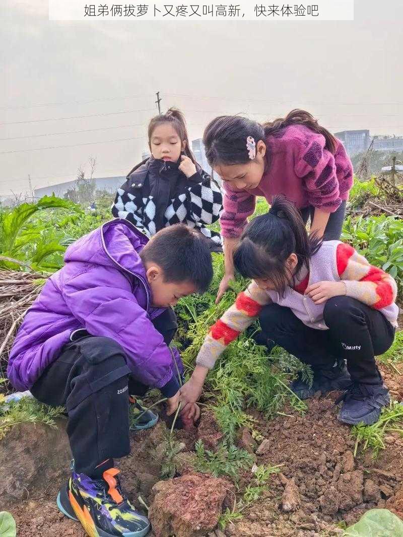 姐弟俩拔萝卜又疼又叫高新，快来体验吧