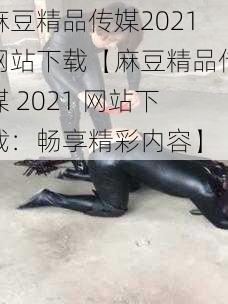 麻豆精品传媒2021网站下载【麻豆精品传媒 2021 网站下载：畅享精彩内容】